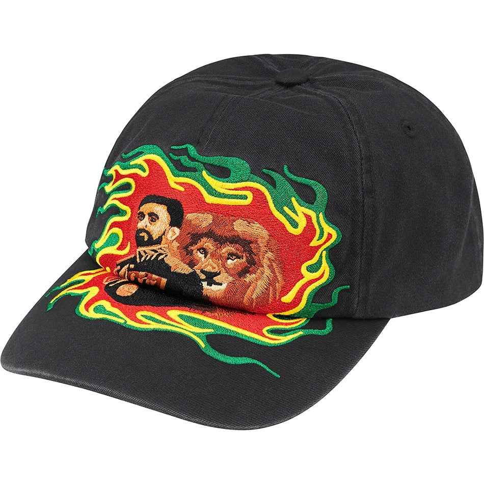 Lion of Judah 6-Panel view 8
